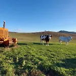 Bagno Di Bosco לינה וארוחת בוקר