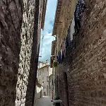 Bagno Di Bosco