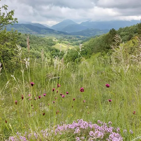 Bagno Di Bosco 3* Gubbio
