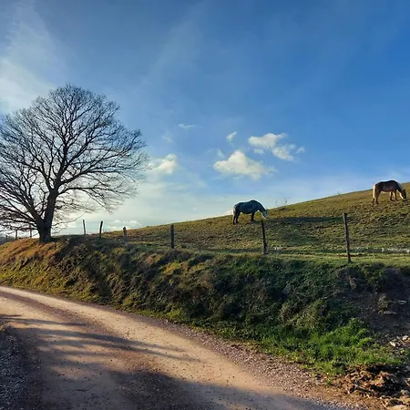Bagno Di Bosco Oda ve Kahvaltı 3*