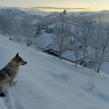 Bagno Di Bosco Oda ve Kahvaltı Gubbio