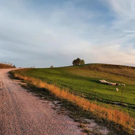 Bagno Di Bosco Oda ve Kahvaltı