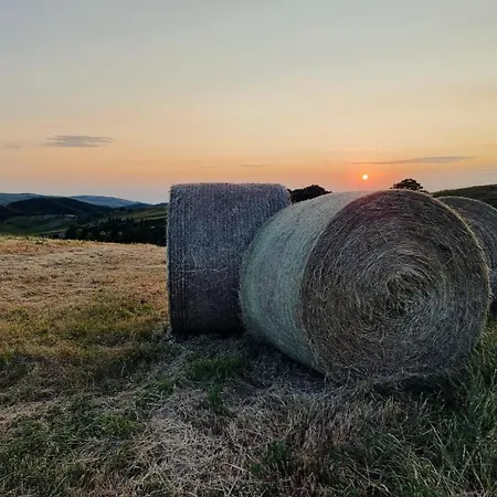 Bagno Di Bosco Oda ve Kahvaltı