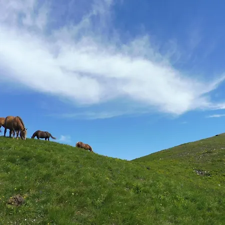Bagno Di Bosco Oda ve Kahvaltı