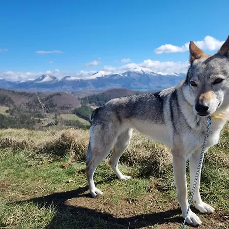 Bagno Di Bosco Oda ve Kahvaltı 3*