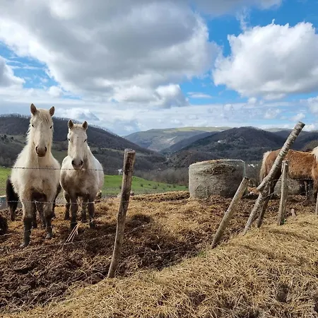 B&B Bagno Di Bosco 3*