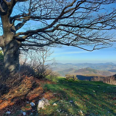 Bed & Breakfast Bagno Di Bosco