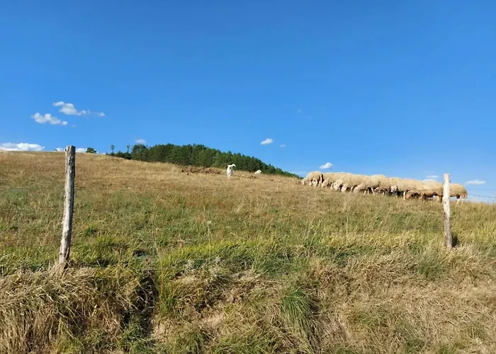 Bagno Di Bosco 3* גוביו