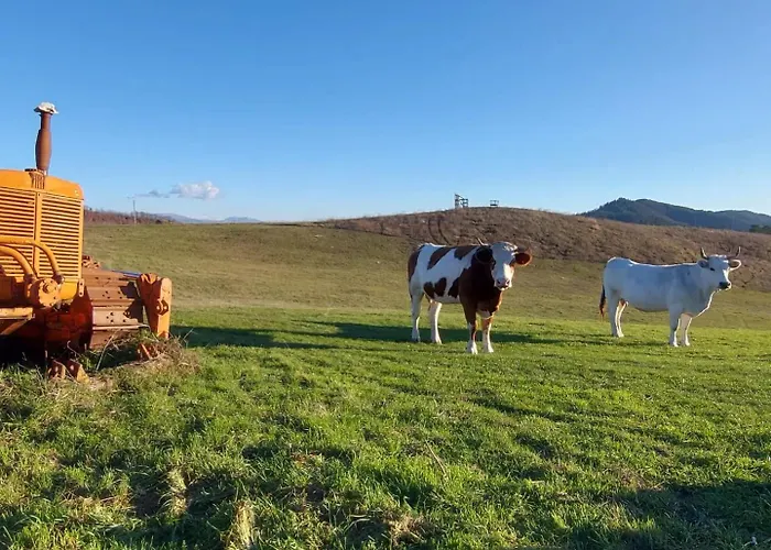 Bagno Di Bosco לינה וארוחת בוקר