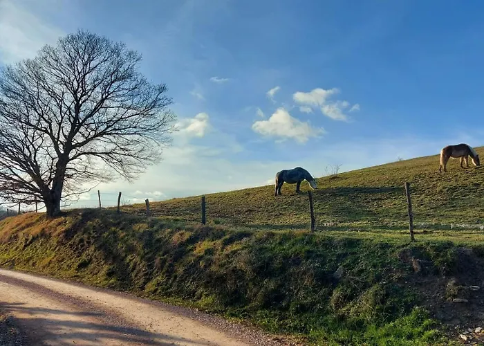 Bagno Di Bosco לינה וארוחת בוקר 3*