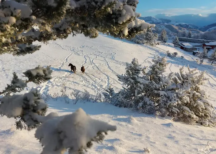 לינה וארוחת בוקר Bagno Di Bosco גוביו