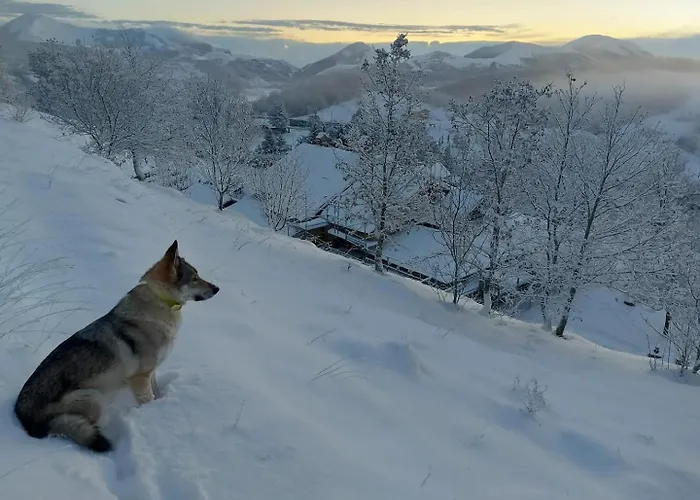 Bagno Di Bosco לינה וארוחת בוקר גוביו