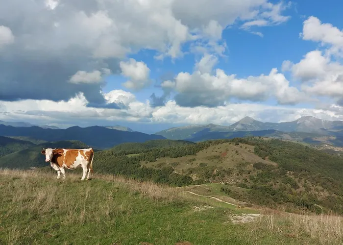 לינה וארוחת בוקר Bagno Di Bosco