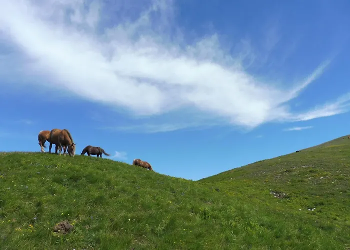 Bagno Di Bosco לינה וארוחת בוקר