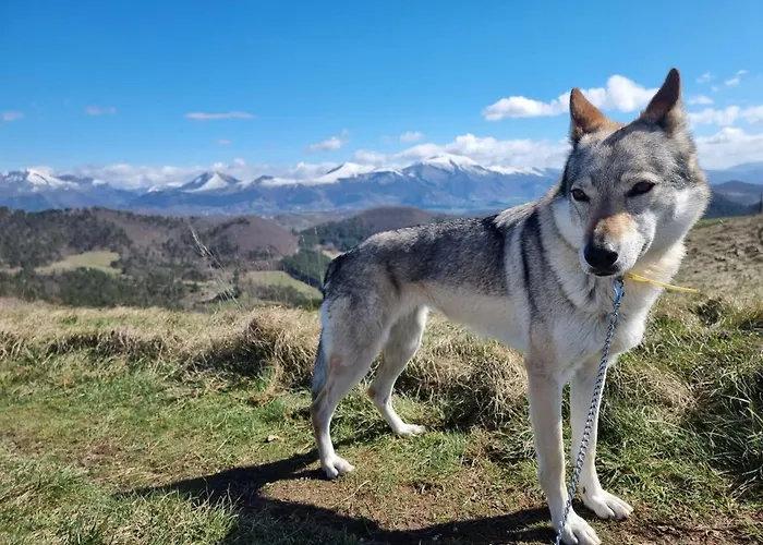 Bagno Di Bosco לינה וארוחת בוקר 3*