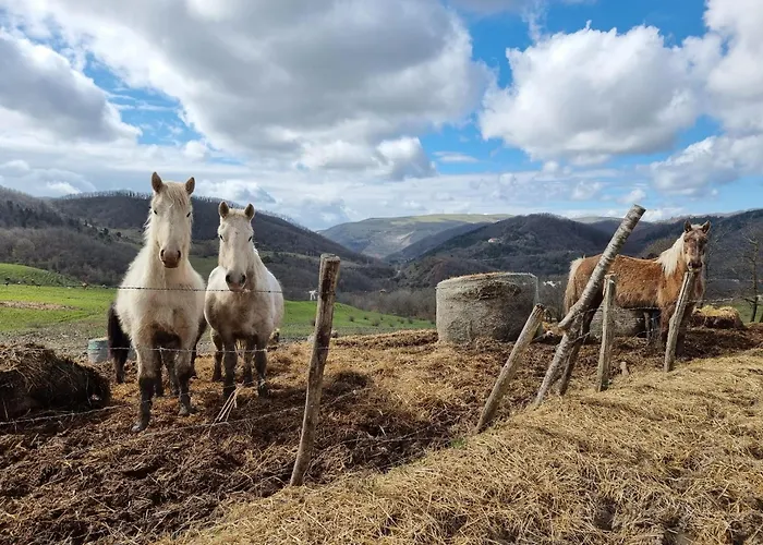 לינה וארוחת בוקר Bagno Di Bosco 3*
