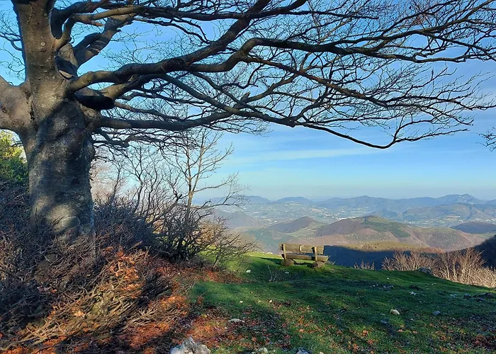 לינה וארוחת בוקר Bagno Di Bosco